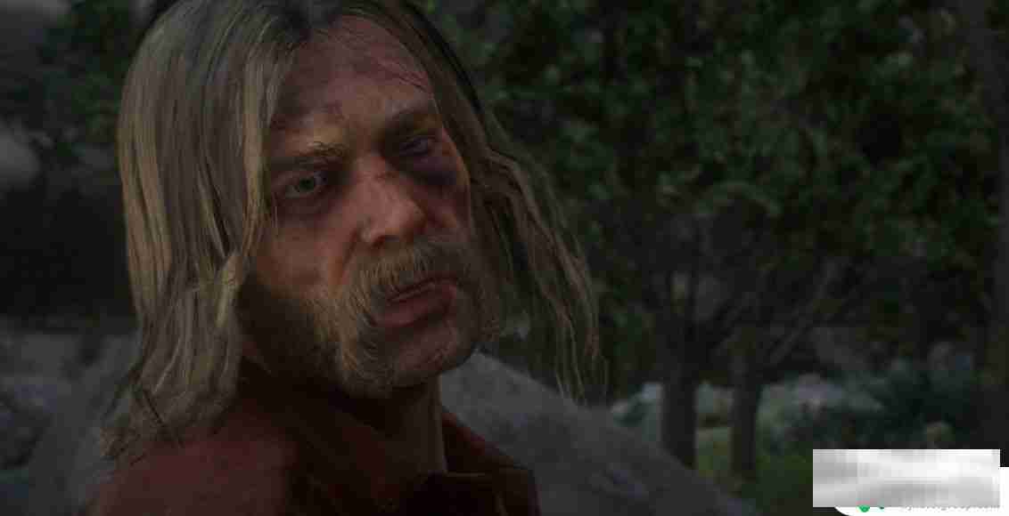 荒野大镖客2麦克卡兰德是谁 麦克卡兰德是荒野大镖客救赎2中的角色吗