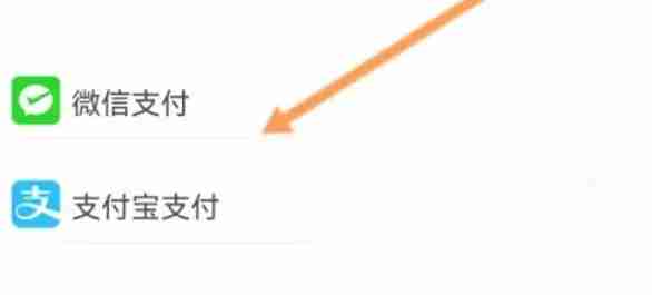 233乐园怎么开通会员-233乐园开通会员的方法