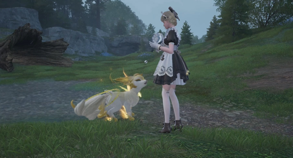 无限暖暖曦光狐在哪-曦光狐位置分享