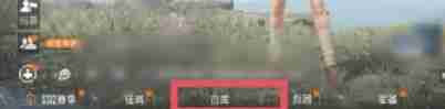 和平精英怎么化妆-和平精英化妆的方法