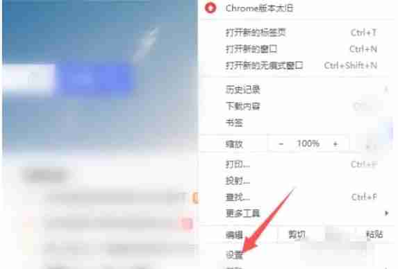 Google浏览器怎么设置中文