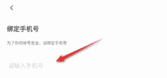 233乐园怎么绑定手机号-233乐园绑定手机号的方法