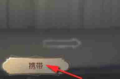 第五人格怎么携带宠物随从?-第五人格携带宠物随从的方法