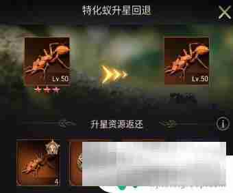 小小蚁国怎么升星 小小蚁国特化蚁升星素材获取