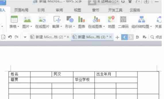 wps电脑版怎么制作简历