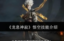 龙息神寂悟空技能怎么样-悟空技能介绍