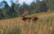 《天国：拯救2》空门大开成就攻略分享