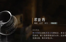 燕云十六声君臣药怎么获得-君臣药获取方法