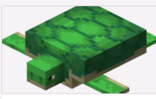 我的世界海龟蛋怎么获得-海龟蛋获取方法