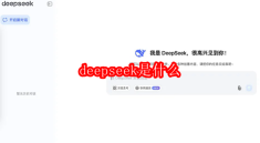 deepseek是什么