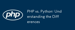 PHP vs. Python : 차이점 이해