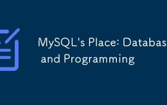 MySQL's Place: Databases and Programming