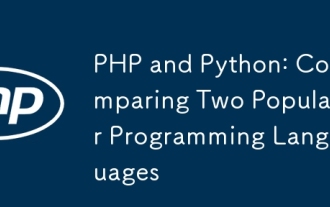 PHP和Python:比較兩種流行的編程語言