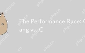 The Performance Race: Golang vs. C