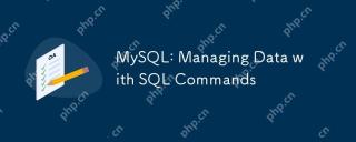 MySQL:SQLコマンドでデータの管理