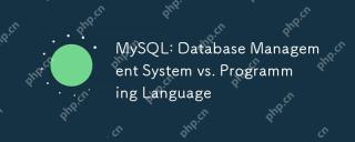 MySQL:データベース管理システムとプログラミング言語