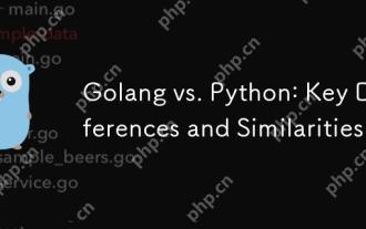 Golang vs. Python:主要差異和相似之處