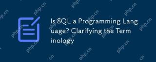 SQL은 프로그래밍 언어입니까? 용어를 명확하게합니다