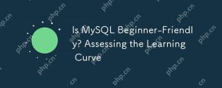 MySQL 초보자가 친숙합니까? 학습 곡선 평가