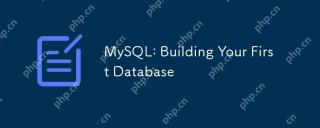 mysql:构建您的第一个数据库