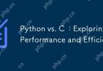 Python vs. C : Exploring Performance and Efficiency