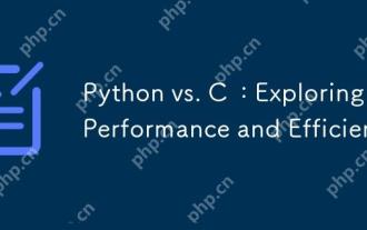 Python vs. C  : Exploring Performance and Efficiency
