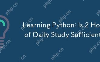 Learning Python: Is 2 Hours of Daily Study Sufficient?