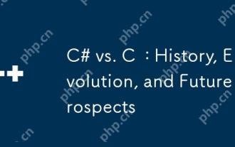 C# vs. C  : History, Evolution, and Future Prospects