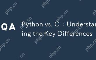 Python vs. C : Understanding the Key Differences