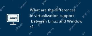 What are the differences in virtualization support between Linux and Windows?