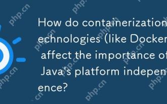 容器化技術(例如Docker)如何影響Java平台獨立性的重要性?