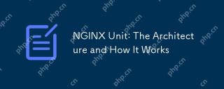 NGINX單元:架構及其工作原理