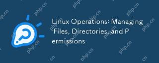 Linux Operations: Managing Files, Directories, and Permissions