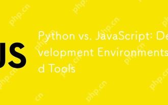 Python vs. JavaScript:开发环境和工具