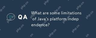 Java平台獨立性有什麼局限性?