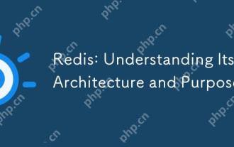 REDIS:了解其架構和目的