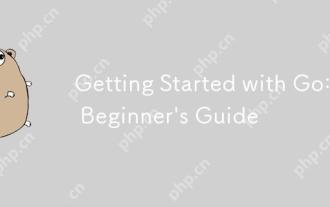 ゴーを始めましょう:初心者のガイド