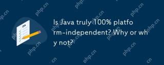 Java真的100%独立于平台吗?为什么或为什么不呢?