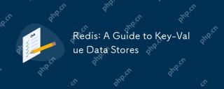 REDIS:键值数据存储的指南