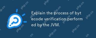 說明JVM執行的字節碼驗證的過程。
