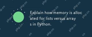 说明如何将内存分配给Python中的列表与数组。
