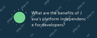 What are the benefits of Java's platform independence for developers?