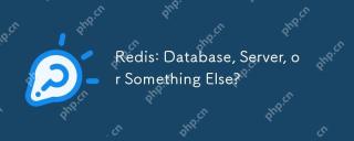 Redis: Database, Server, or Something Else?