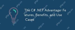 C#.NET優勢:功能,好處和用例