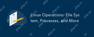 Linux -Operationen: Dateisystem, Prozesse und mehr