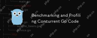 Benchmarking and Profil