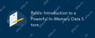 Redis: Introduction to a Powerful In-Memory Data Store