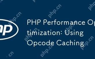 PHP Performance Optimization: Using Opcode Caching