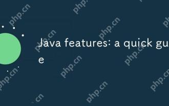 Java features: a quick guide