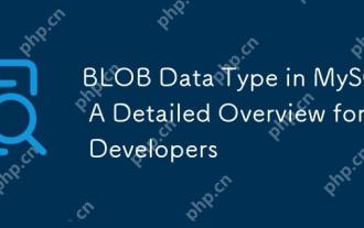 BLOB Data Type in MySQL: A Detailed Overview for Developers